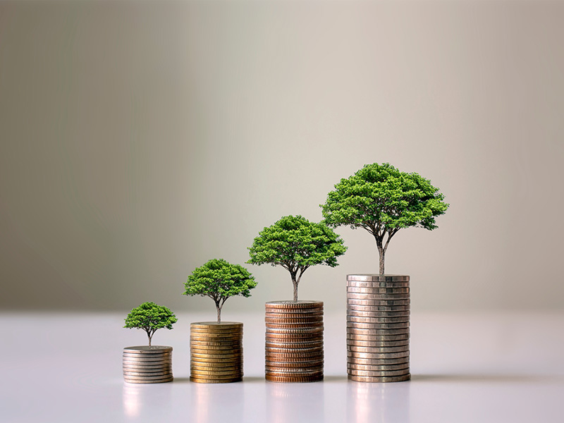 Trees growing on pile of coins